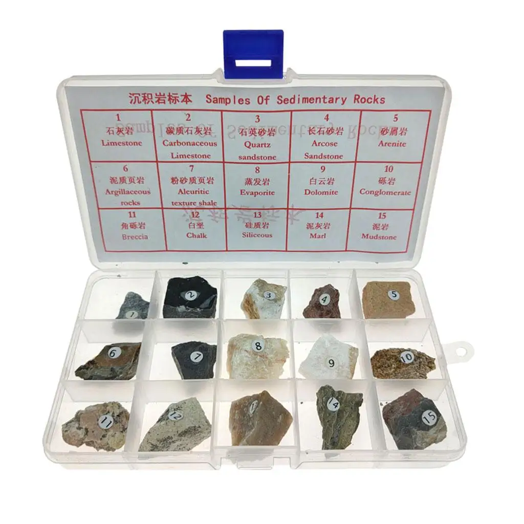 15x Sedimentary Rock Specimen Teaching Aid Supplies Rocks and Minerals Collection, Ages 8 and Up