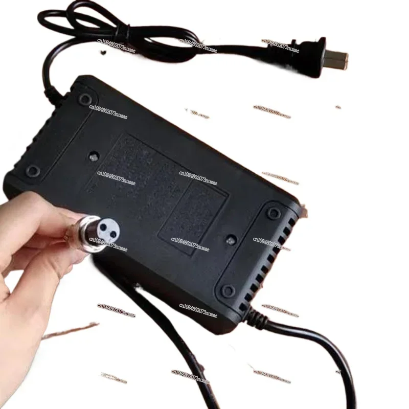 

Блок питания для вакуумного подъема: оригинальное зарядное устройство 12 В для стеклянной настенной присоски-важный аксессуар для безопасного и эффективного использования