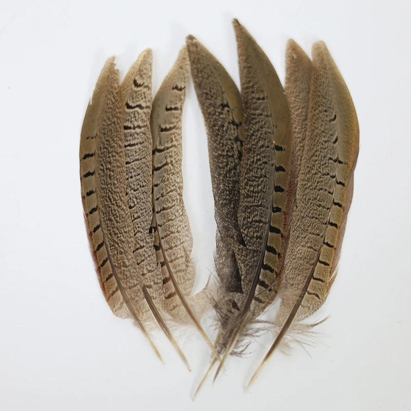 10Pcs/Lot Natural Ringneck Pheasant Feathers For Crafts on The Head Cock Large Feather Tail Carnival Accessories Decoration