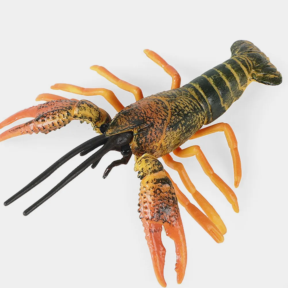 

Simulation Lobster Creative Marine Animal Educational Science Interactive Funny Lobster Ornament Desktop Decor