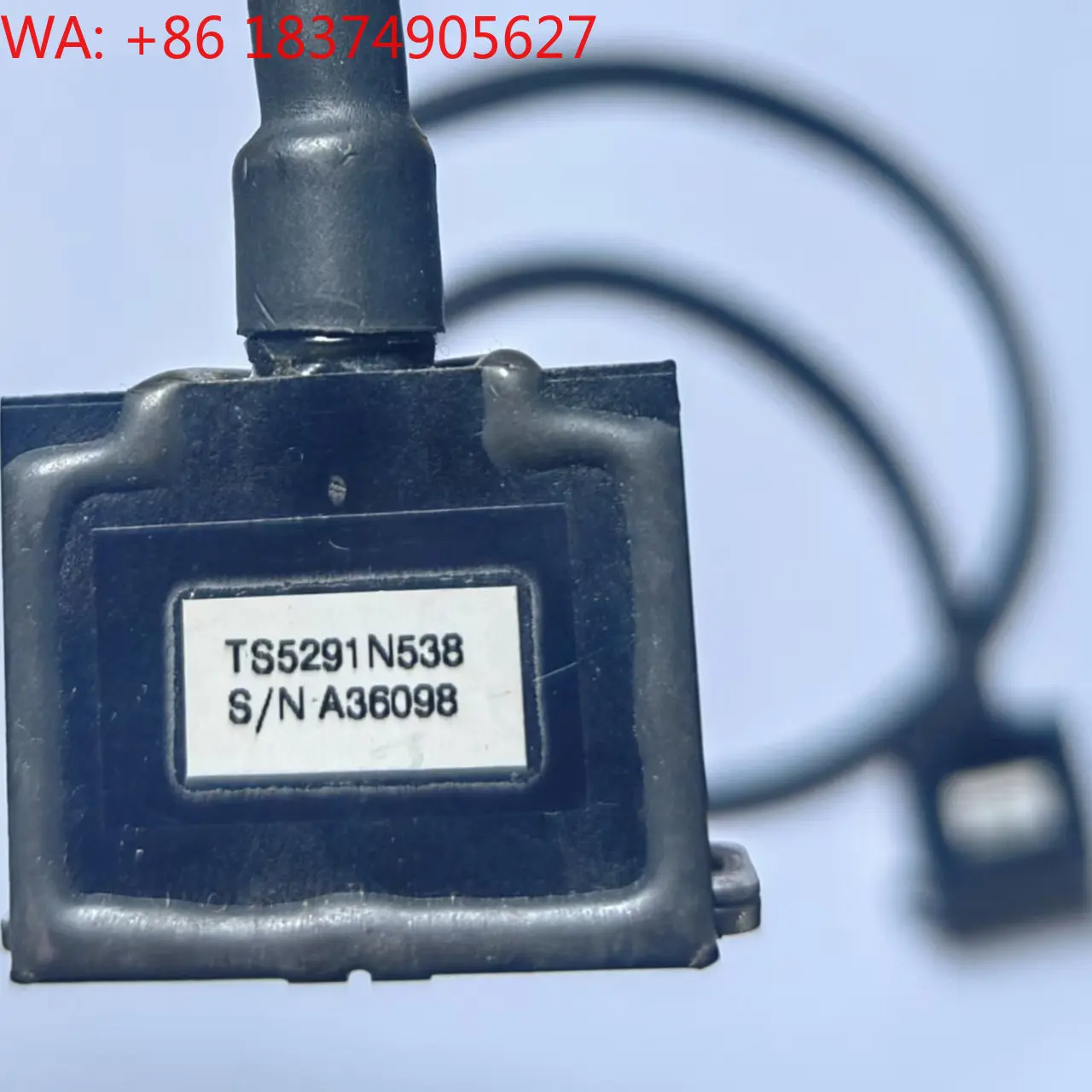 TS5291N538 gear encoder reading head, brand new original genuine
