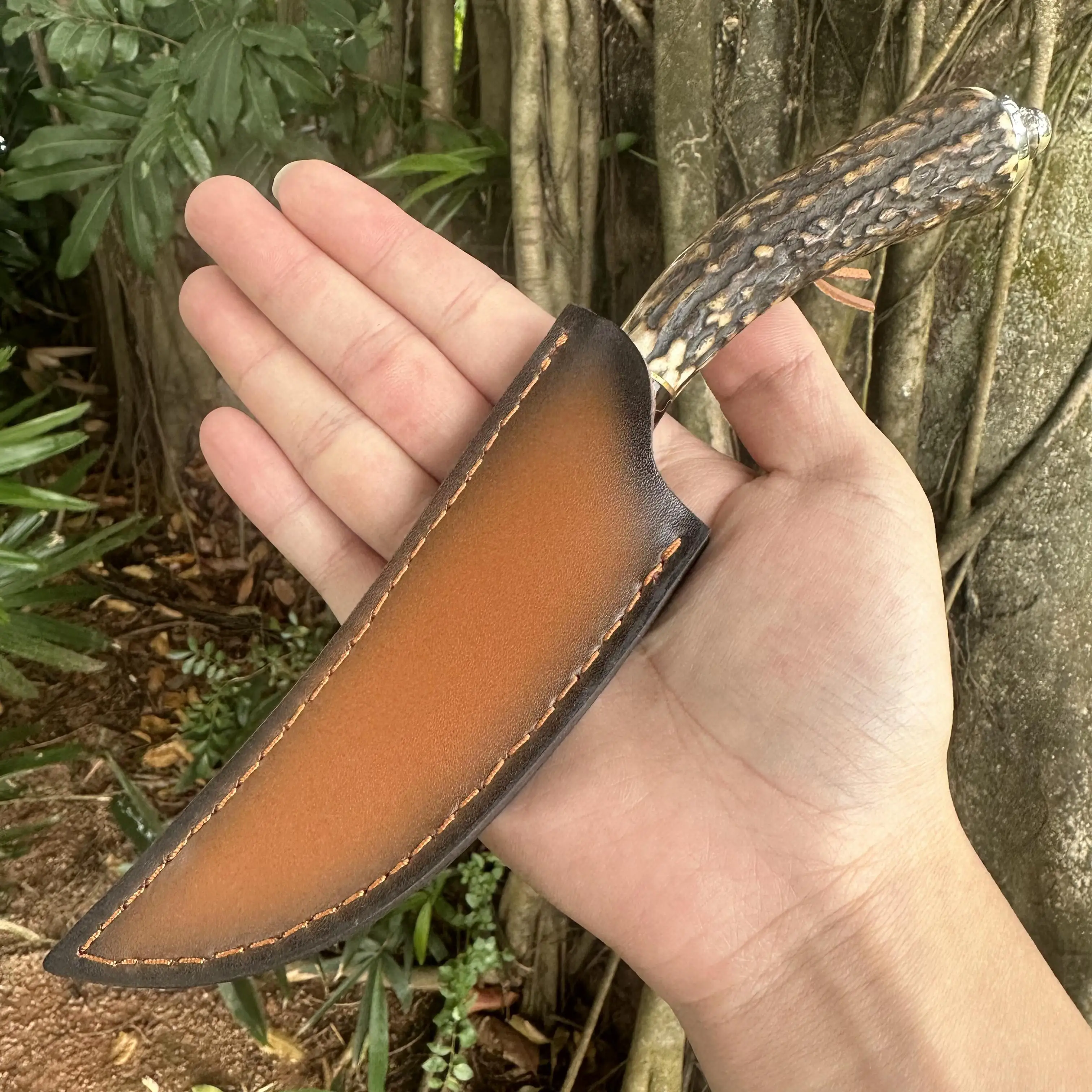 Topwell Handmade Knife Premiun VG10 Damascus Blade  Antlers Handle Super Sharp With Real Leather Sheath Hunting Camp Collection view 2