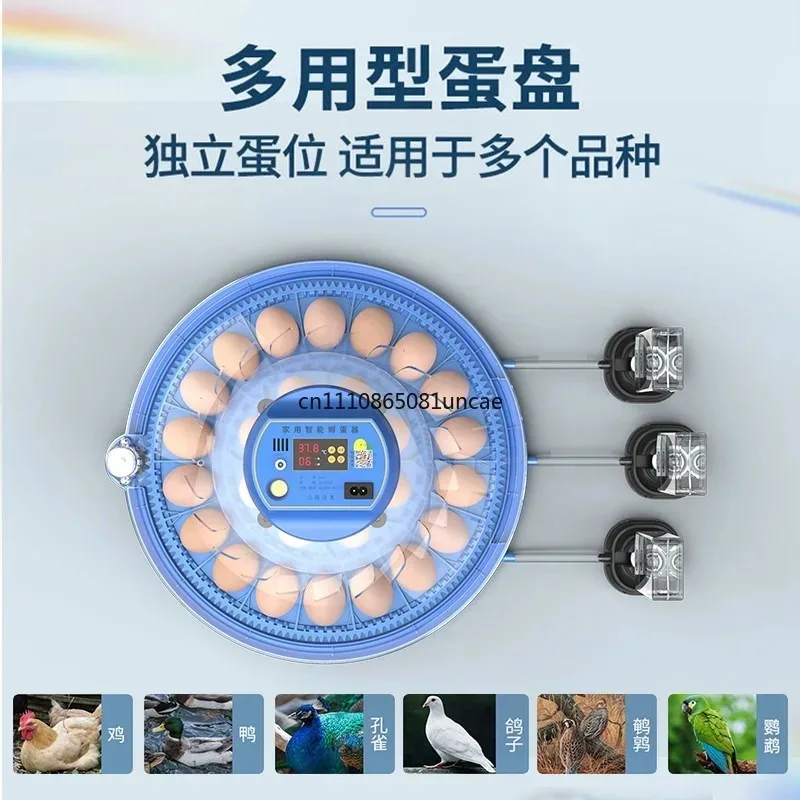 small-automatic-egg-incubator-household-hatcher-for-rutin-chicken-parrot-chicks-flying-saucer-design