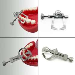 Dental Teeth Separator Tooth Divider Wedges Retainer Anterior Teeth Orthodontic Instrument Matrix Matrice Rubber Dam