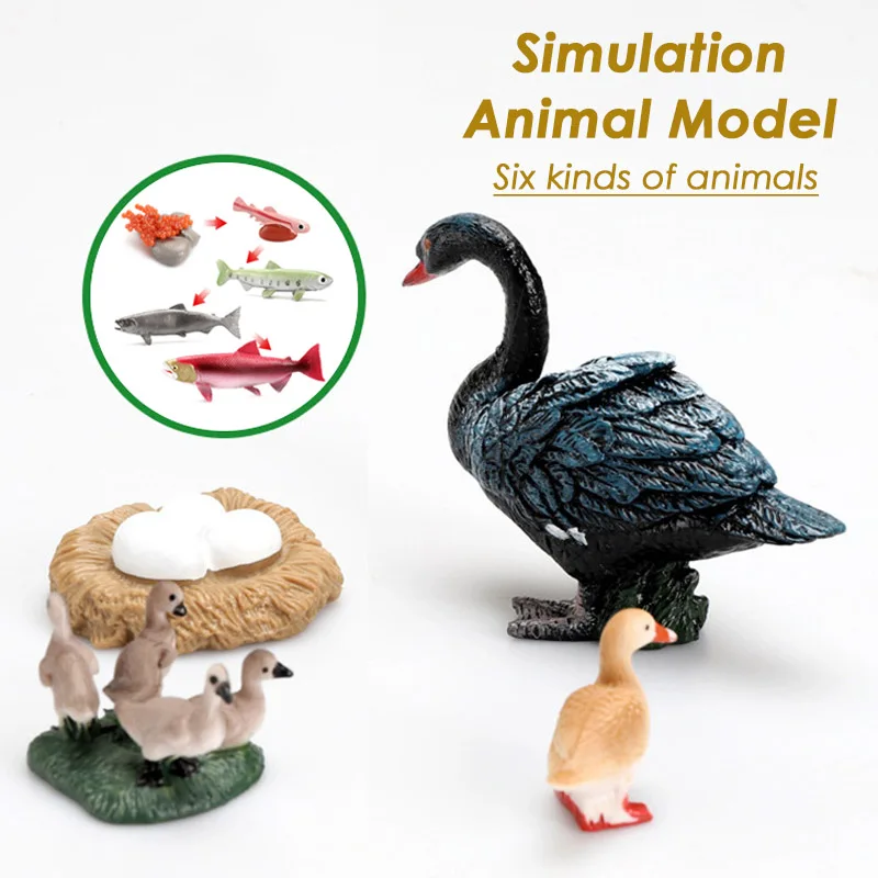 Simulation Animal Model for Kids Growth Cycle Animal Solid Vinyl Early Educational Toys Cognitive Model Set Toys Organism Model