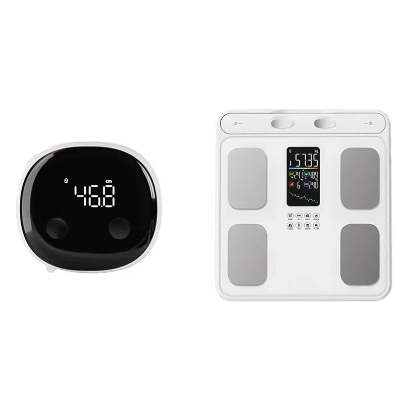 

Electrode body fat scale, electronic scale, household scale, dedicated intelligent precise body fat measurement