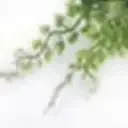 60X40CM Artificial Green Wall Landscape Home Garden Jungle Decoration Super Plants Plastic Lawn Plant Hanging Grass Wall Panels