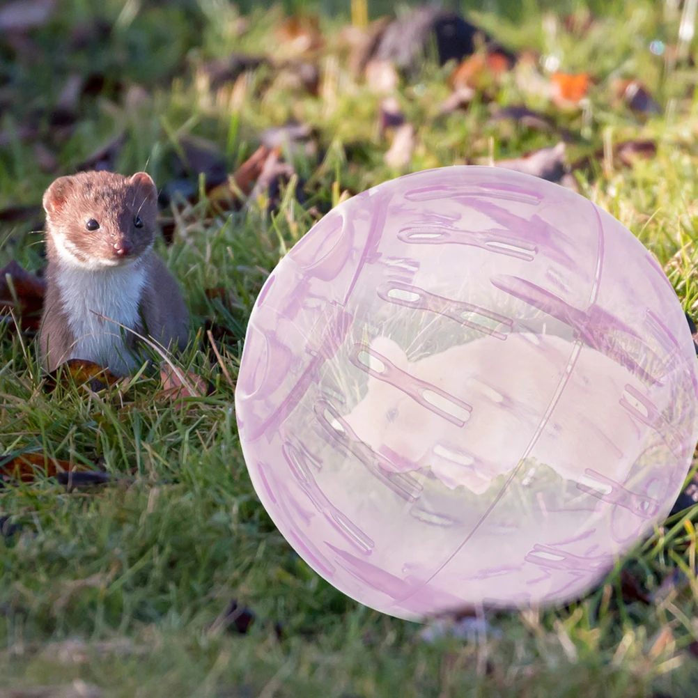 

Small Clear Hamster Exercise Ball ABS Material Lightweight Running Ball Stress Relief Cage Rat Gerbil Supplies
