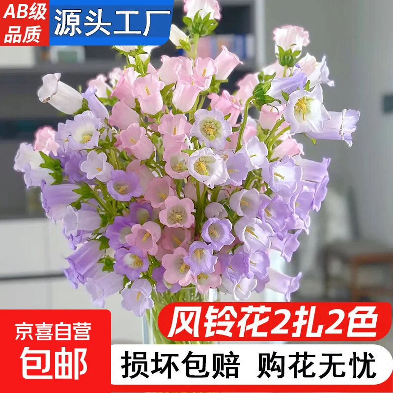 

MJX Hyper Go 10208 V2 Metal Front and Rear Shock Tower Plate 1/10 RC Car Upgrade Parts Accessories