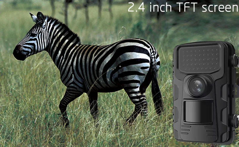 Outdoor Sports Hunting Cameras - Outdoor Hunting Video Camera review and price