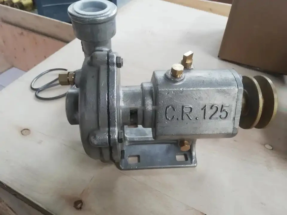 Stainless Steel Sea Water Pump CR100 CR125 CR150 CR200 Used For Marine Engine