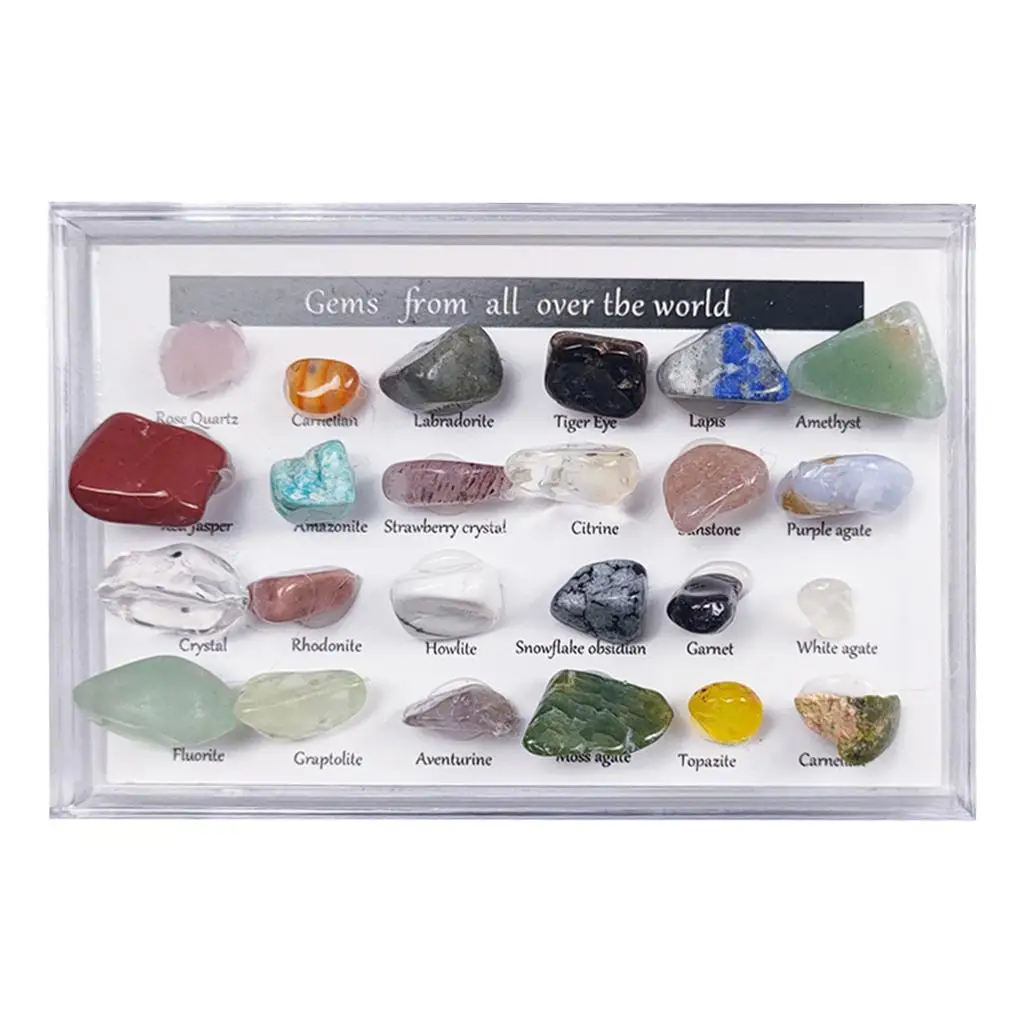 24x Rock Minerals Collection Set, Mining Experiment Set & Collection Box