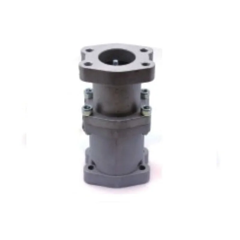 Check valve  for    Hyundai Assembly 1.5K31EH-11150