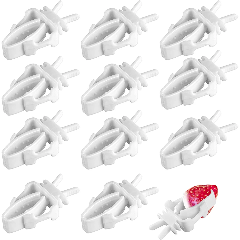 

12pcs Cute Small Pet Bird Food Holder Parrot Fruits Vegetables Clip Cuttlefish Bone Feeder Device Clamp Bird Cage Accessories