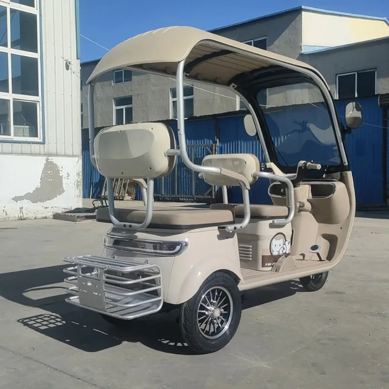 800W Electric Tricycle Electric Bicycle Canopy-covered Two-seat Electric Scooter 2026