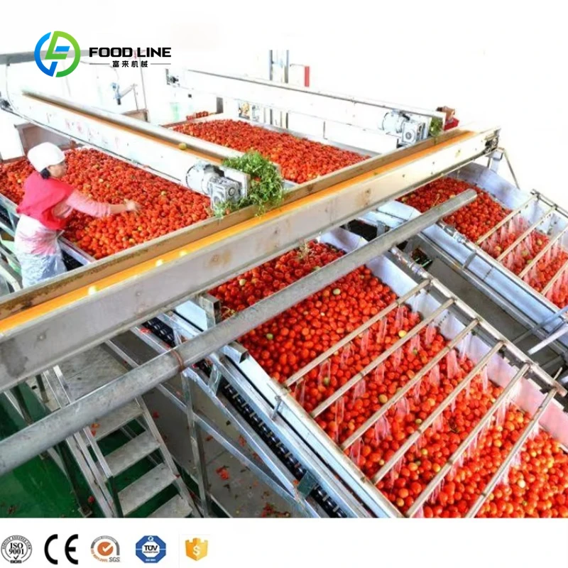Customized Tomato Paste Making Machine Tomato Processing Machine Automatic Ketchup Production Line