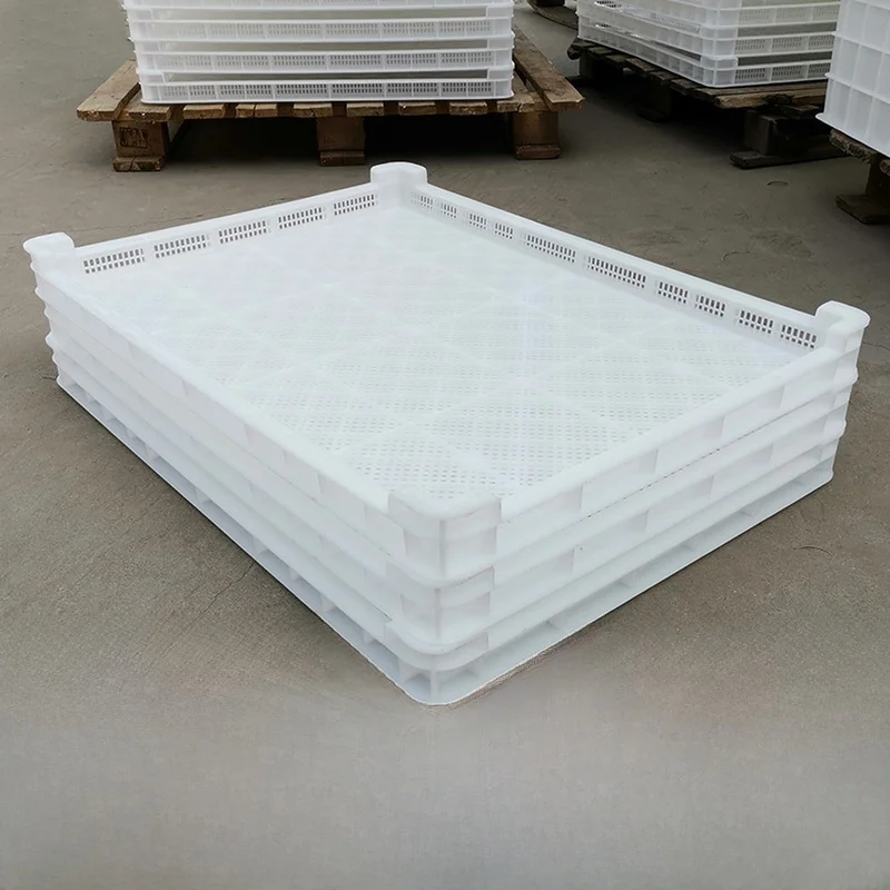 プラスチック製長方形シングルフリーザートレイ乾燥トレイナマコ乾燥トレイ冷蔵用トレイ食品トレイ