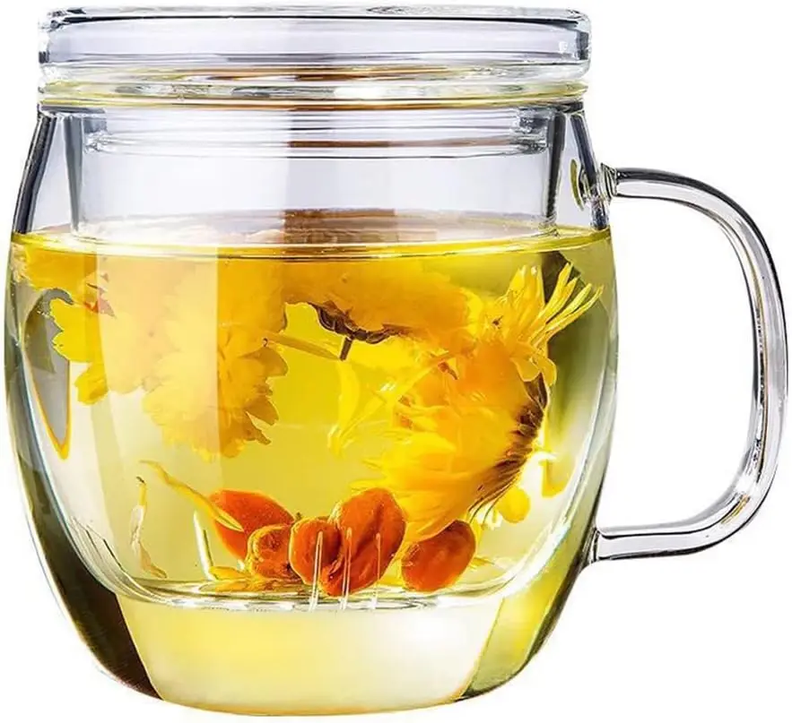 

500ml Borosilicate Glass Tea Cup with Infuser and Lid for Loose Leaf Tea, Durable Brewing Mug
