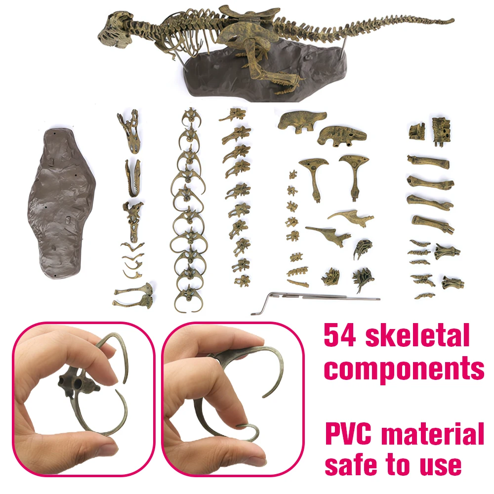 70 cm DIY-Dinosaurier-Skelett-Modellbausatz – zusammengebautes T-Rex-fossiliertes Spielzeug, Jurassic Park-Simulation, perfektes Geschenk für Jungen