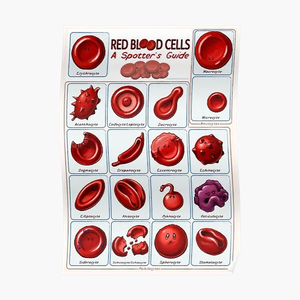 

Red Blood Cells Poster Art Home Decoration Print Vintage Picture Mural Room Funny Modern Wall Decor Painting No Frame