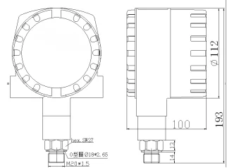 Digital Pressure Gauge