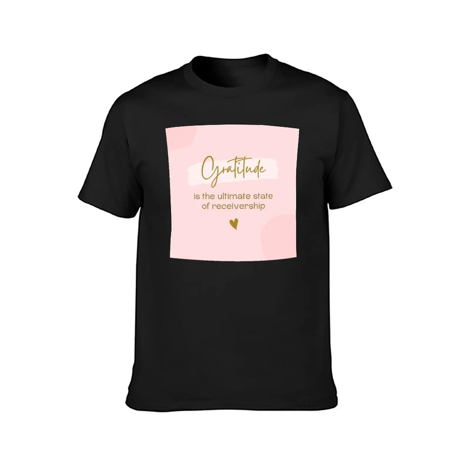 Gratitude equals receivership T-Shirt cute clothes sublime tshirts for men