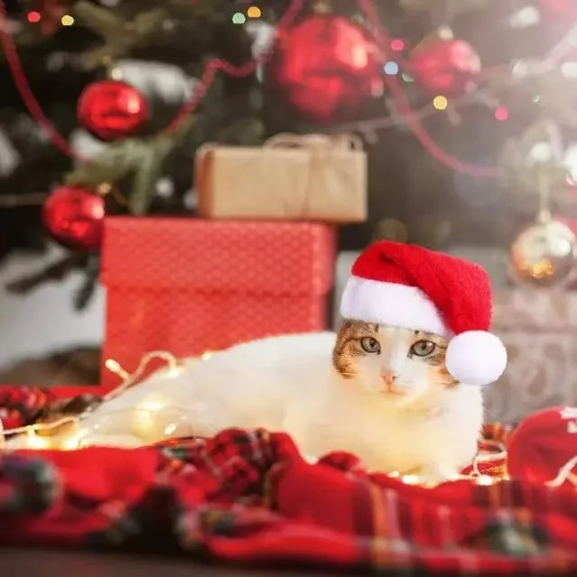 2026 Christmas Pet Hat Santa Claus Hat for Cats Dogs Puppy Xmas Decoration New Year Party Supplies Pet Costume