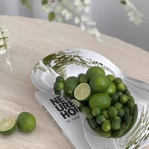 Nordic luxury serving dish, fruit bowl, stainless steel decorative tray for home decoration, living room, dining table 10 Main Luxury Frute Sales - №8
