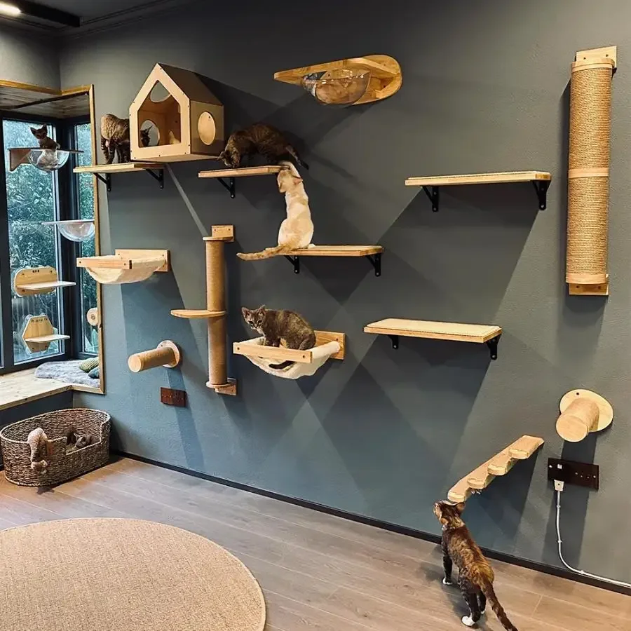 

1Pc Wooden Cat Climbing Frame Wall Mounted Cat Furniture Cat Jumping Platform Cat Climbing Ladder Hammock Climbing Structure