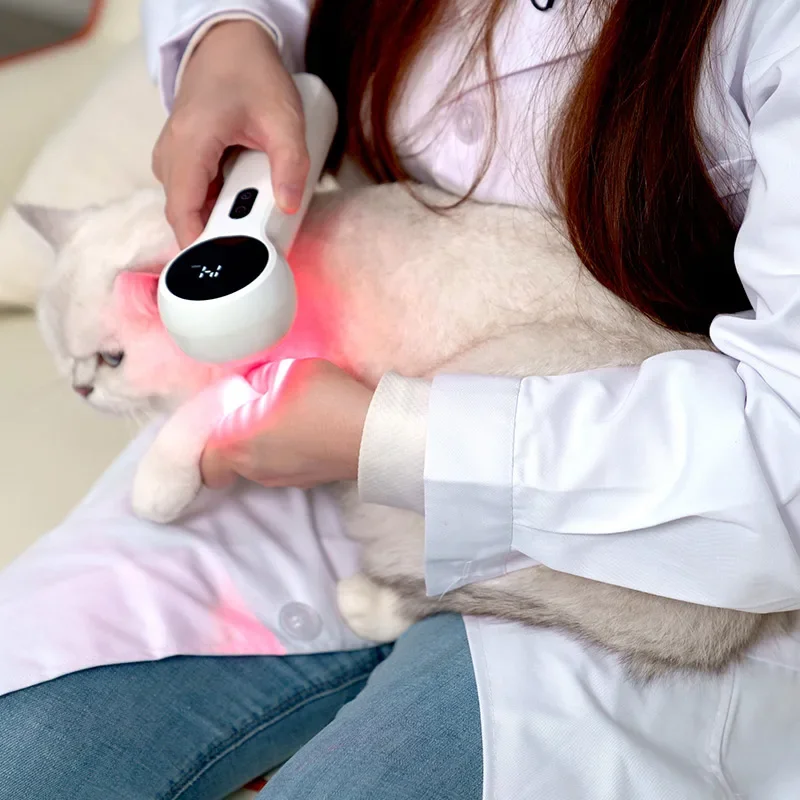 

Veterinary Instrument Medical Physical Therapy Device for Animals Pets Surgical Recovery