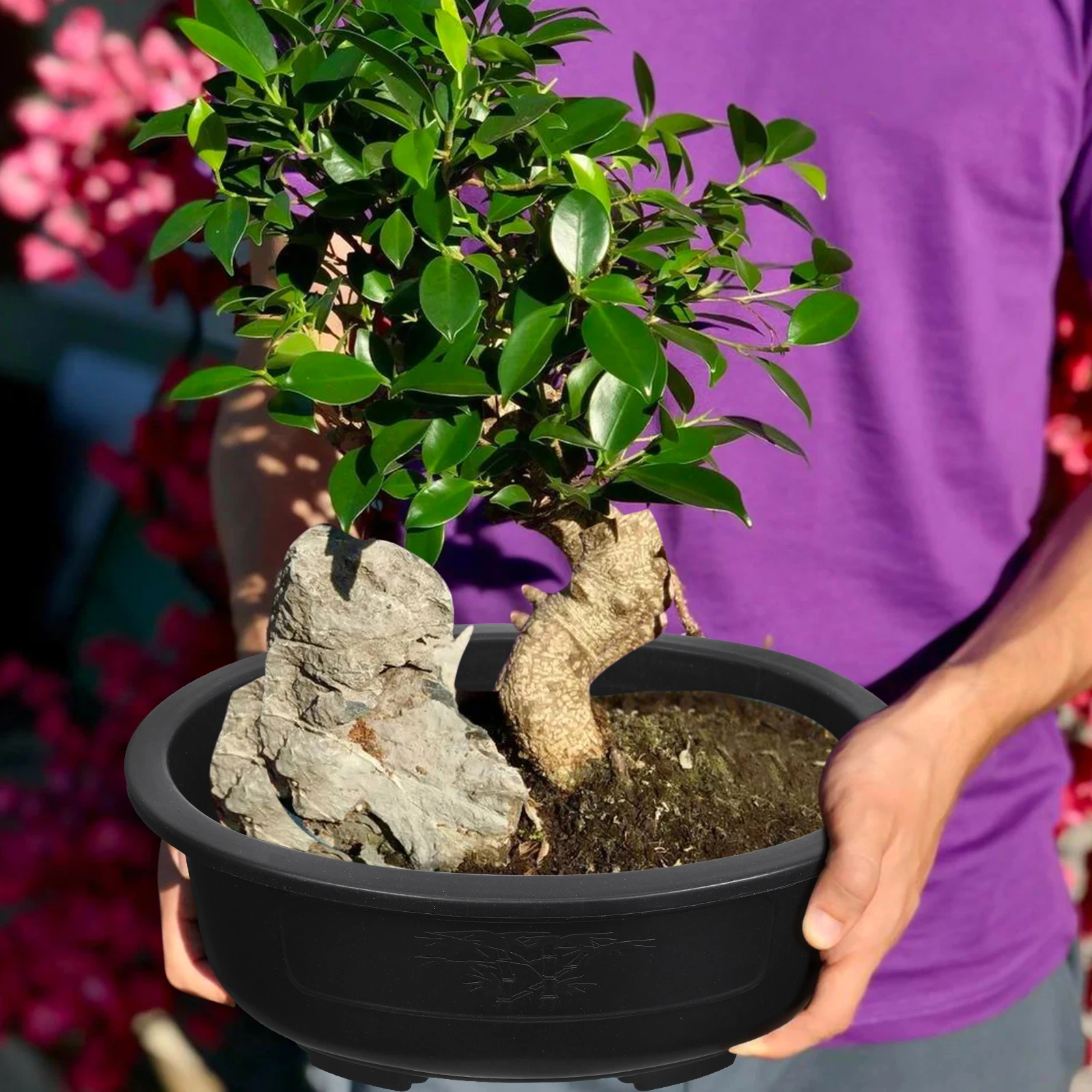 

2Pcs Large Bonsai Flowerpot Oval Plant Container High-Grade Plastic Gardening Pot for Vertical Space Saving Garden Decoration