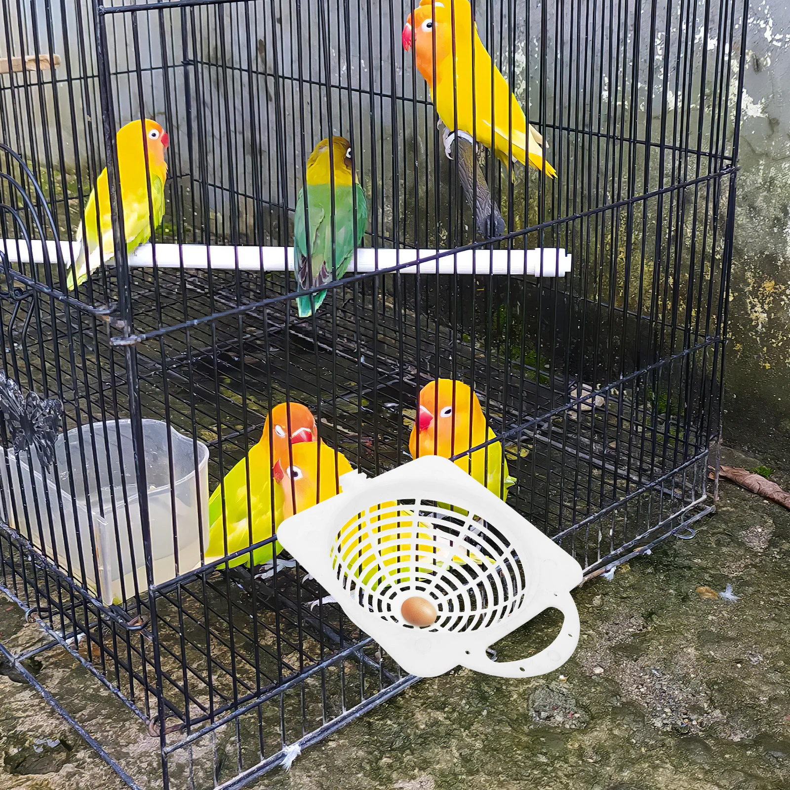 

2Pcs Plastic Bird Nest Box for Parakeets Cockatiels Small Parrots Indoor Outdoor Breeding Box Natural Egg Holding Design Easy