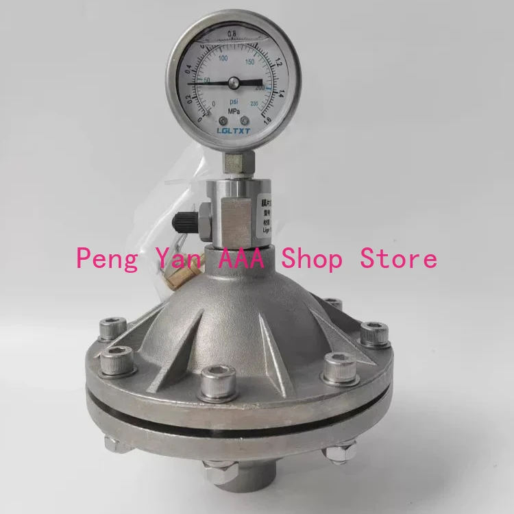 Stainless steel 304/316 diaphragm pulse damper PVDF buffer