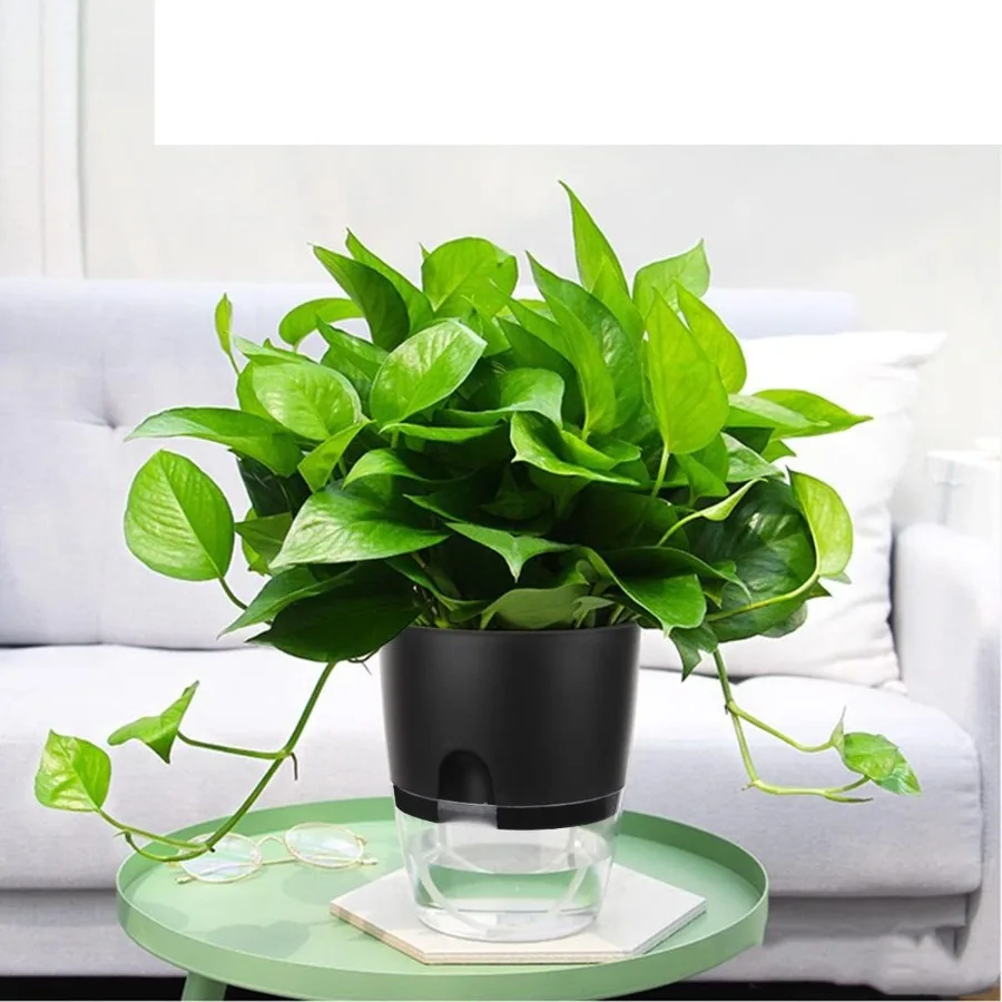 Vasos de plantador com rega automática de 6 polegadas para plantas de interior Pacote com 3 potes violeta africana com pavio RopeBlack