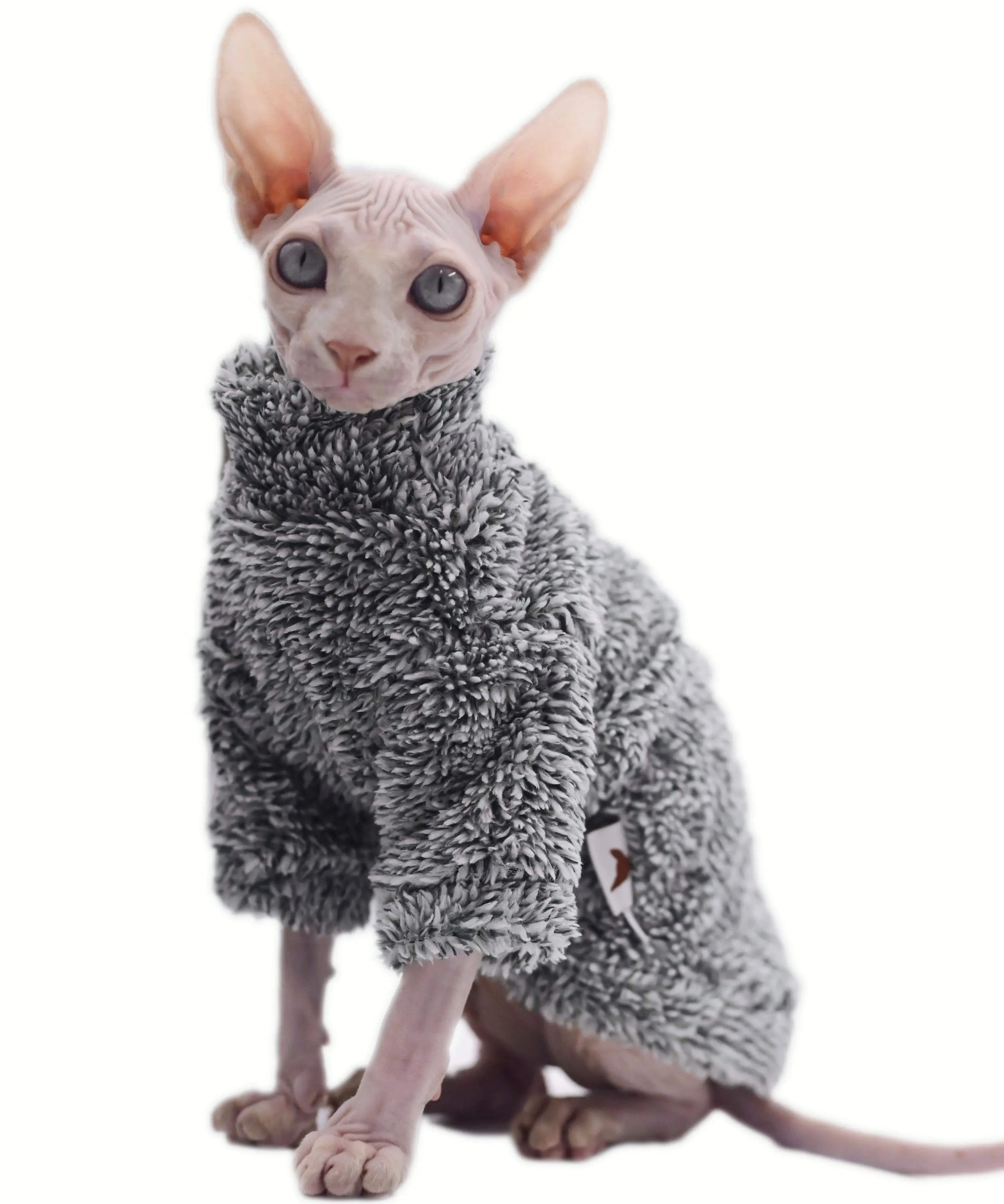 Haarlosen Katze Kleidung Winter Camouflage Warme Arktischen Samt Sphynx Katze Mantel Devon Kleidung Konis Katze