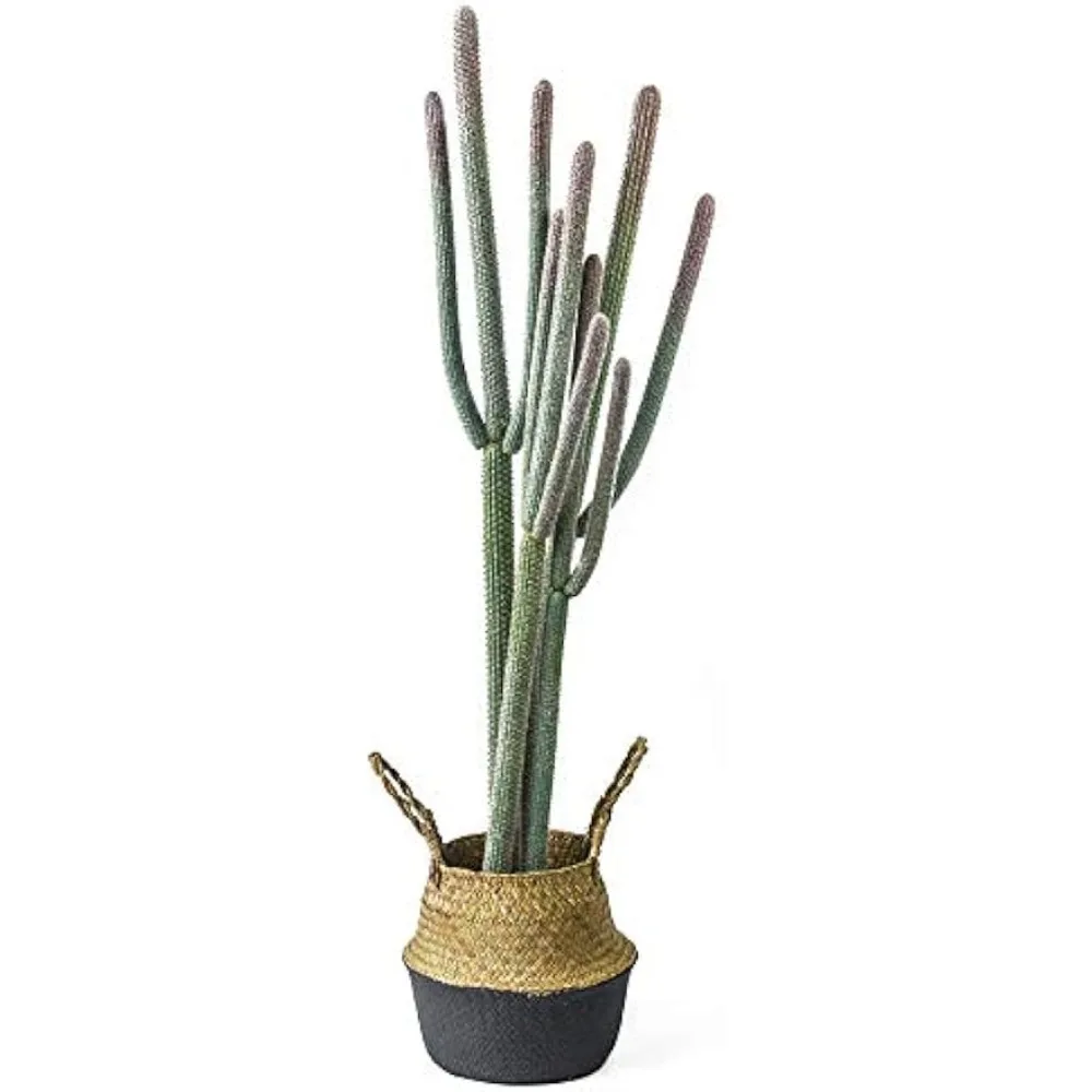 

Artificial Cactus in A 4-foot (48 Inch) High Plastic Pot with Seaweed Basket - A Home Potted Artificial Cactus