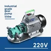 220V/380V WCB-30/50 모터 주철 연료 이송 펌프 기어 펌프 자체 프라이밍 전기가있는 Protable 기어 오일 펌프 5