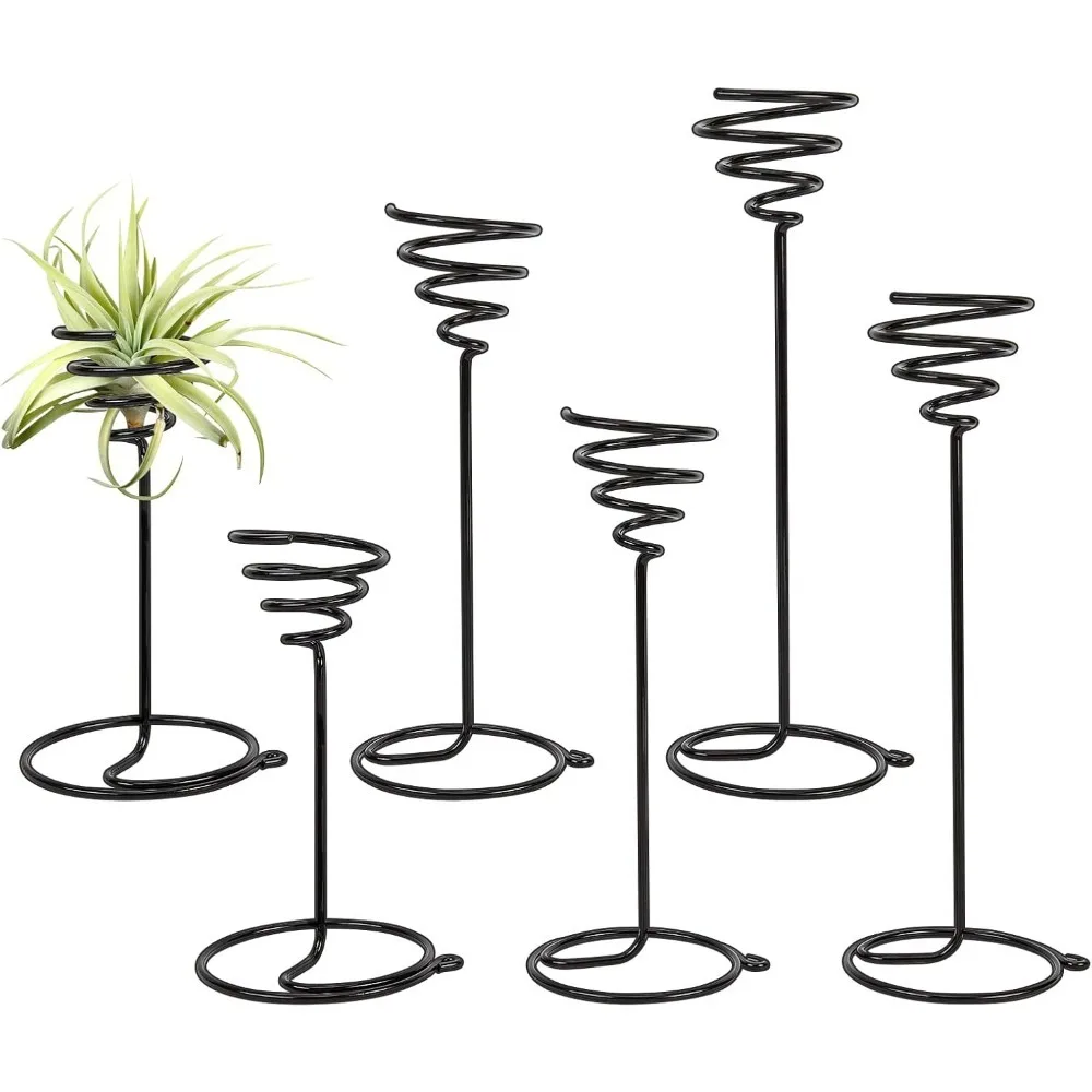 6 Packs Airplant Planter Holder, 3 Sizes Air Plant Container Tillandsia Holder for Displaying Small Air Plant, Home Office