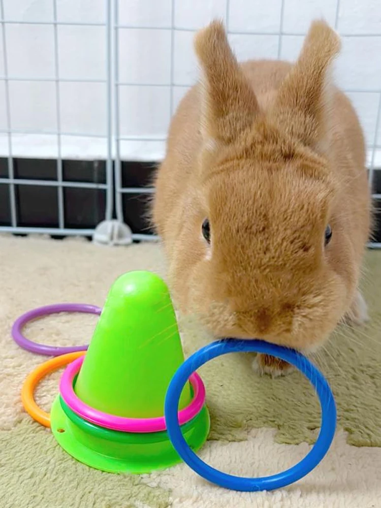 Jouet de virole de lapin en forme de cône de crème glacée aléatoire, 1 pièce, pour soulager l'ennui, entraînement interactif, jouet à croquer pour petits animaux