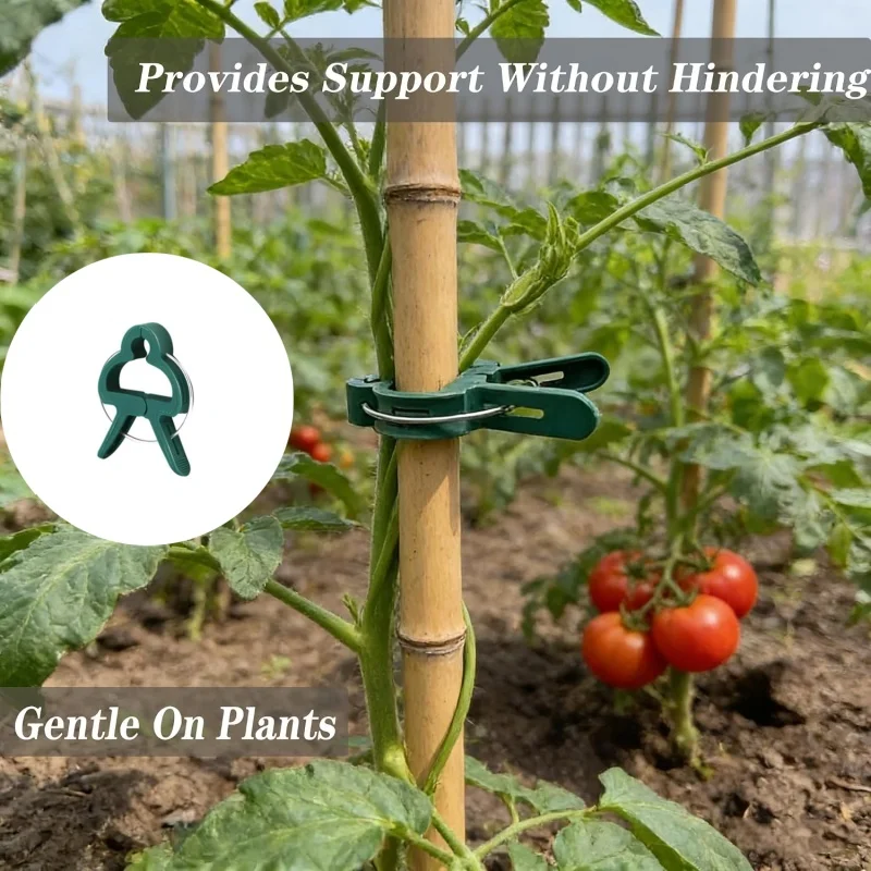 15pcs-Plant fixing clips multifunctional garden clips branch support frames gardening tools vine fixing clips and shed support