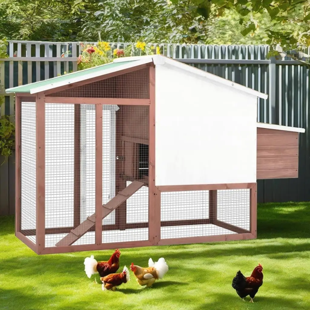 Mocha & White Solid Fir Wood Chicken Coop with Nest Box - Durable Outdoor Hen House