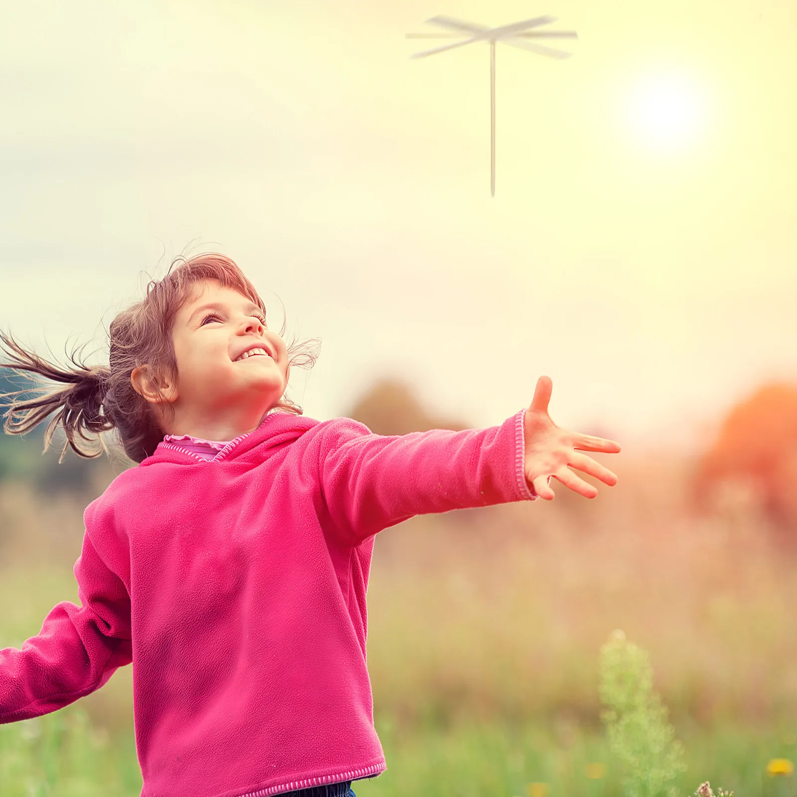 

10Pcs Balance Gravity Dragonfly Innovative Educational Science Kids Brain Development Bamboo Color Balance Gravity Toy
