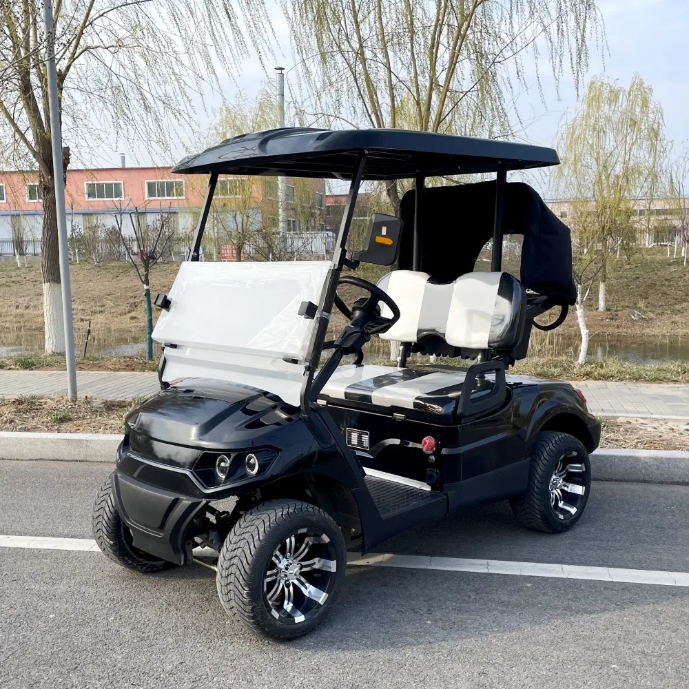 2024 New Model Style 2 Seat Sightseeing Bus Club Cart Electric Golf Buggy Hunting Cart for Adults