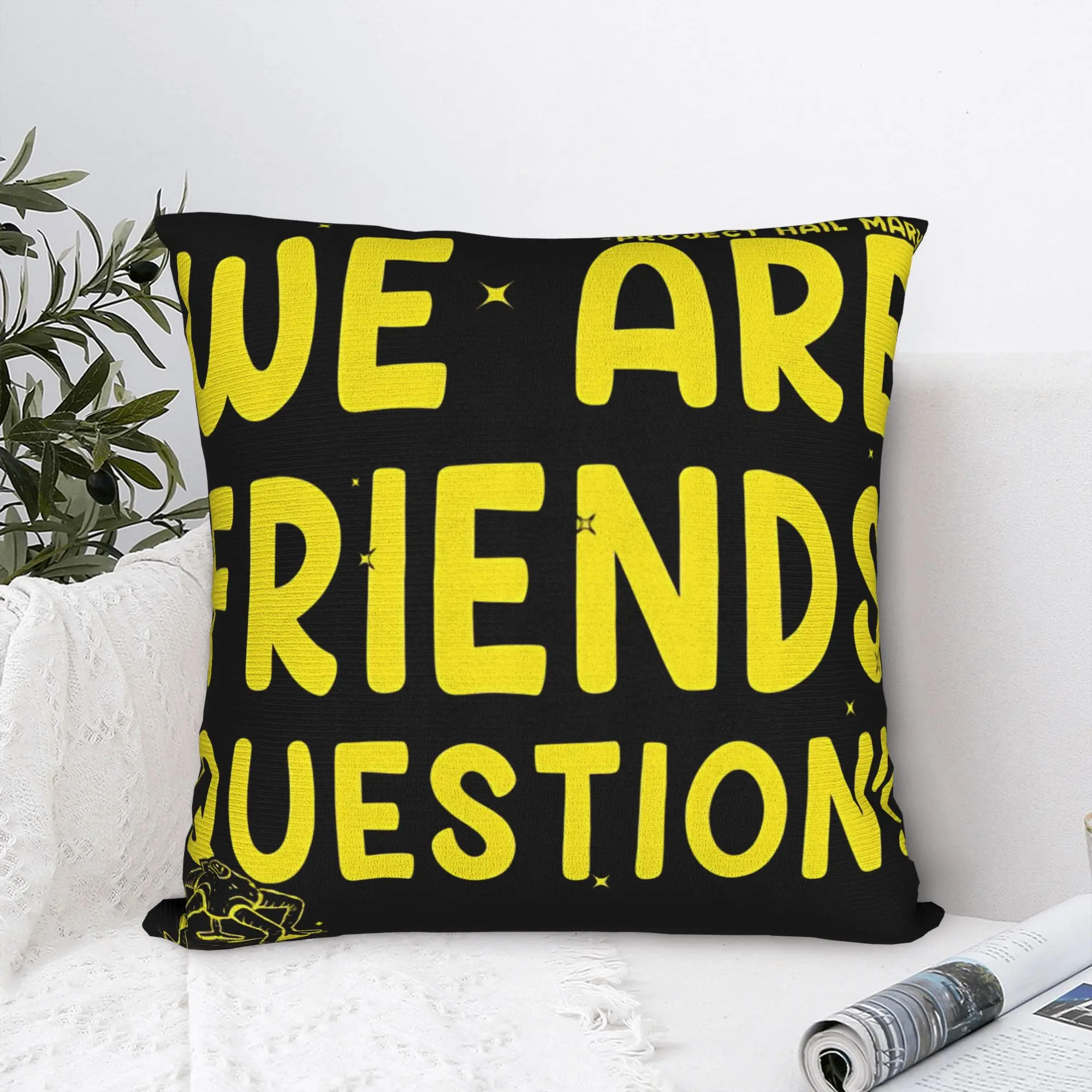 Pillow Cover Project Hail Mary Inspired Rocky WE ARE FRIENDS QUESTION  Vintage Pillow Case For Living Room Sofa Pillowcases