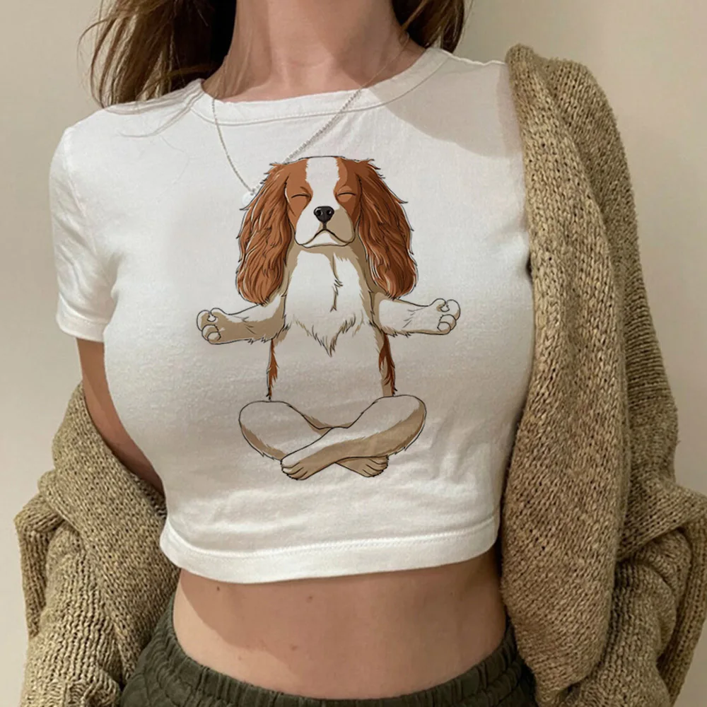 Cavalier King Charles Spaniel Dog streetwear  graphic  crop top Female trashy kawai vintage Kawaii clothes tshirt