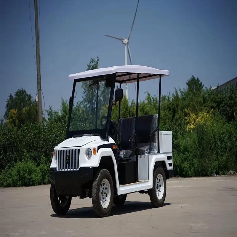 Hot Sale 2-Person Electric Mini Golf Cart