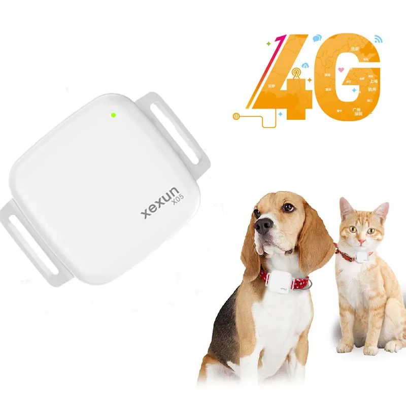 Factory OEM 4g Mini Smart Geo Fencing Real Time Gps Pet Locator Wifi Positioning Tracker Dog Cat for Sort Brazil USA Europe