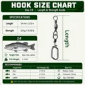 Size 2