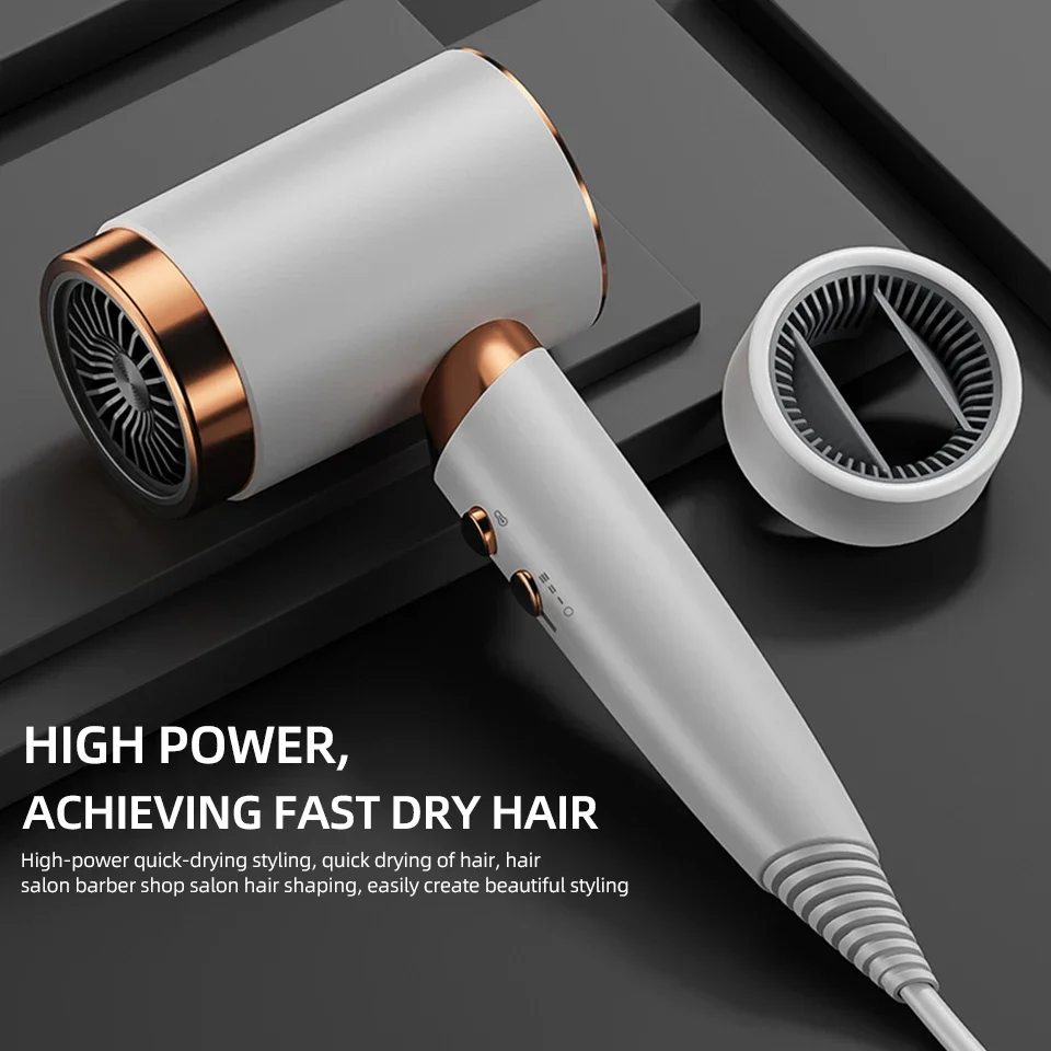 Professional Hair Dryer For Home Use High Speed Negative Ion Hair Care Styling Hair Dryer Low Noise Blower Dryer Hot Wind