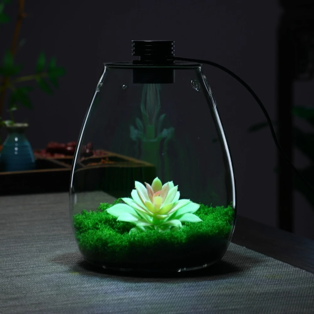20cm Large Mouth Water Drop Glass Terrarium Integrated LED Grow Light Desktop Moss Micro Landscape Plant Lighting Fixture